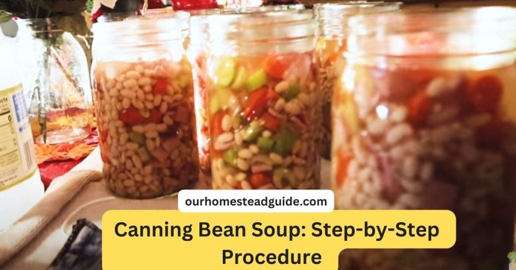 Pressure Canner Heat Source - Healthy Canning in Partnership with Canning  for beginners, safely by the book