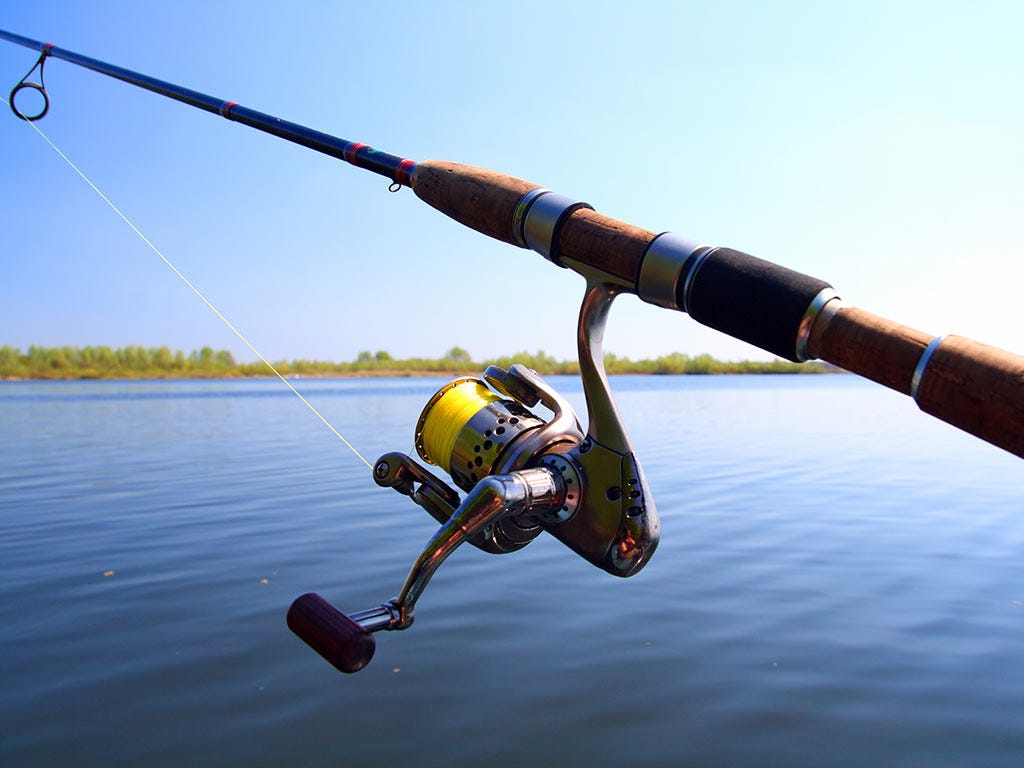 Cast with Confidence: Expert Recommendations for the Best Spinning Fishing  Rods, by Andrearose, Feb, 2024