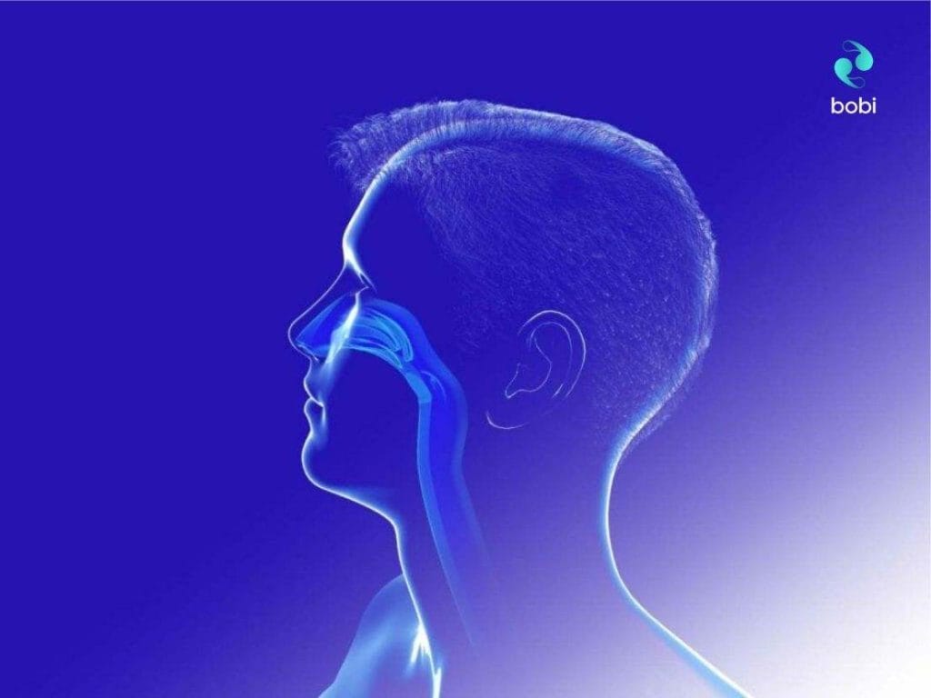 Unlocking the Science of Nasal Breathing Benefits | by bobi | Aug, 2024 ...