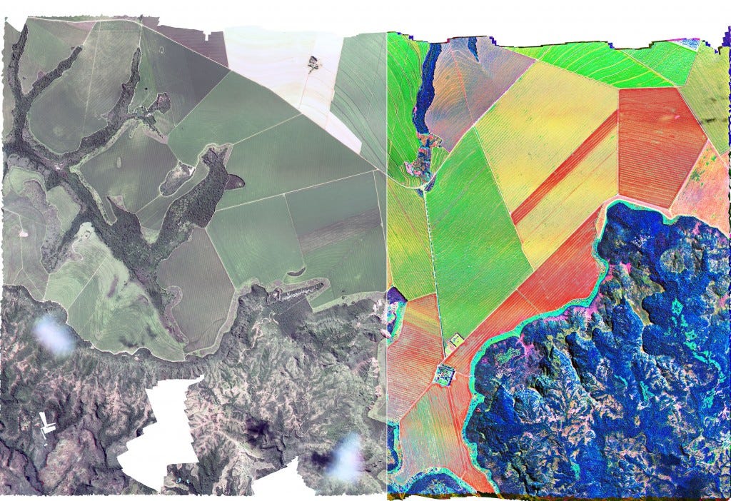 Multispectral vs Hyperspectral in agriculture by Ivanov Igor Gamaya