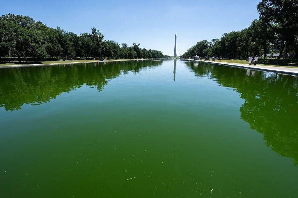 source: Bloomberg / Bloomberg via Getty Images via Yahoo News