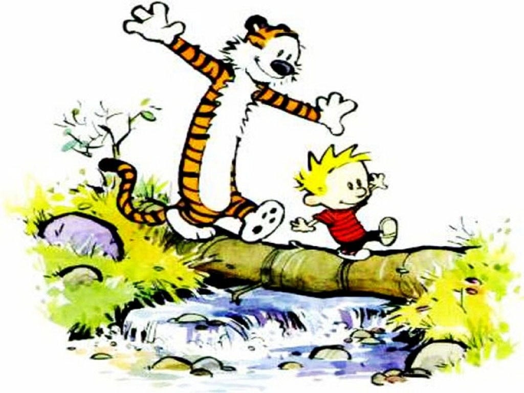 calvin and hobbes quotes on love