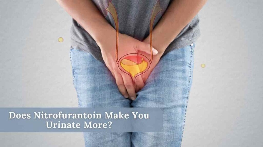 Does Nitrofurantoin Make You Urinate More? by HealthorSkin May