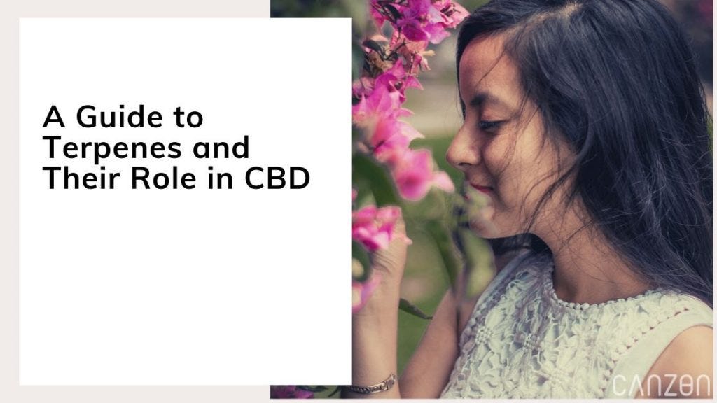 A Guide to Terpenes
