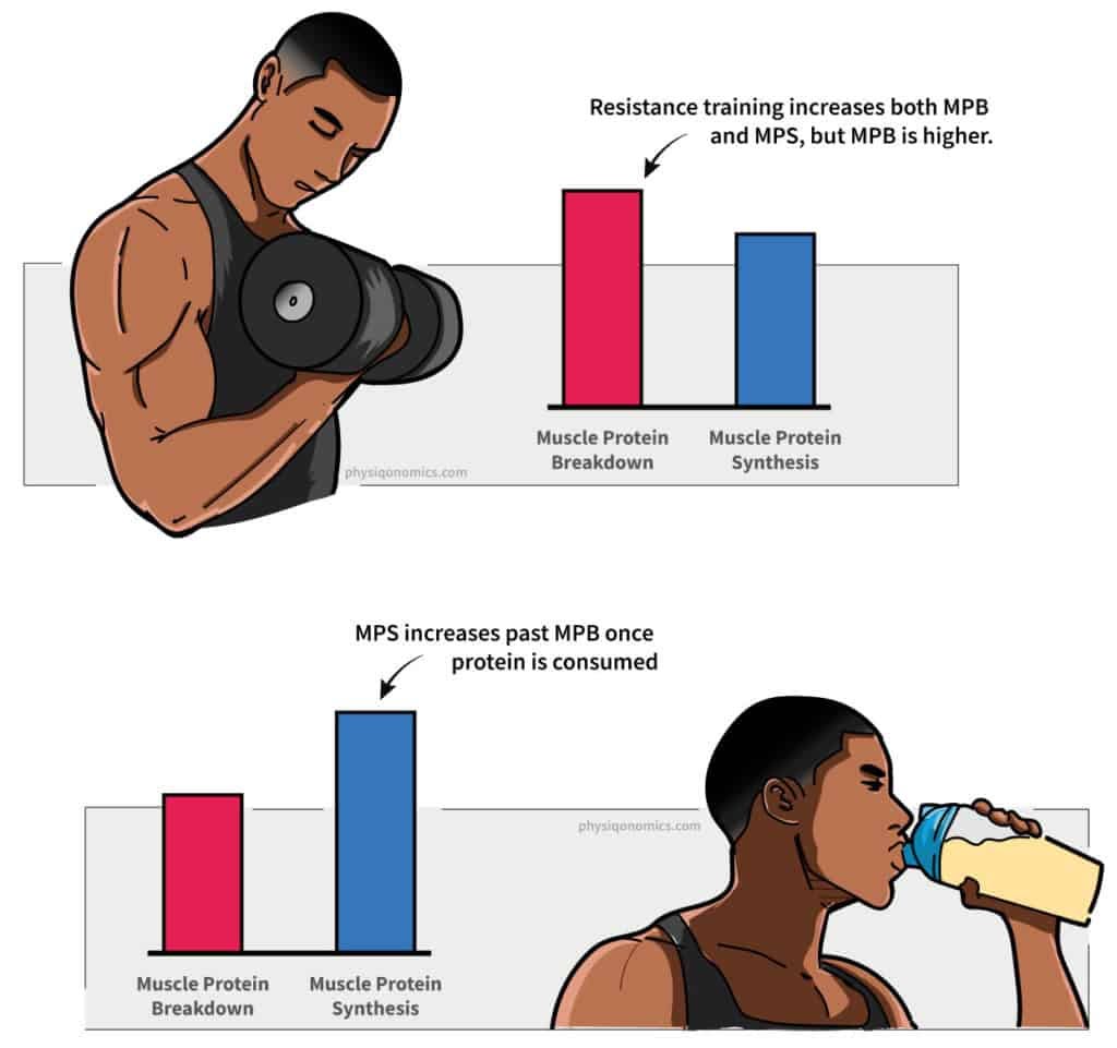 Should You Have Protein After Your Workout? by Coach Anthony