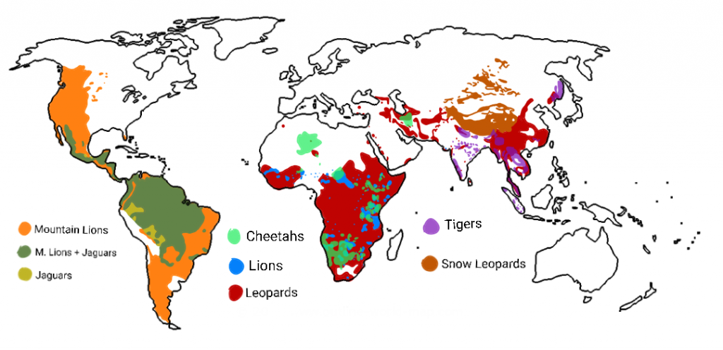 Distribution of the Big Cats mapped | UPSC | IBCA