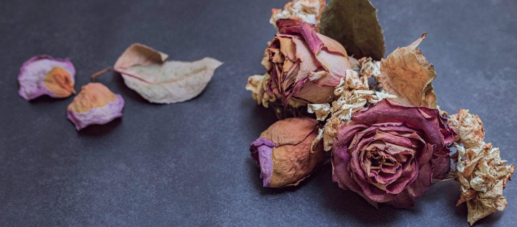 Rose Petal Pressed Real Dried Flowers (8 pieces)