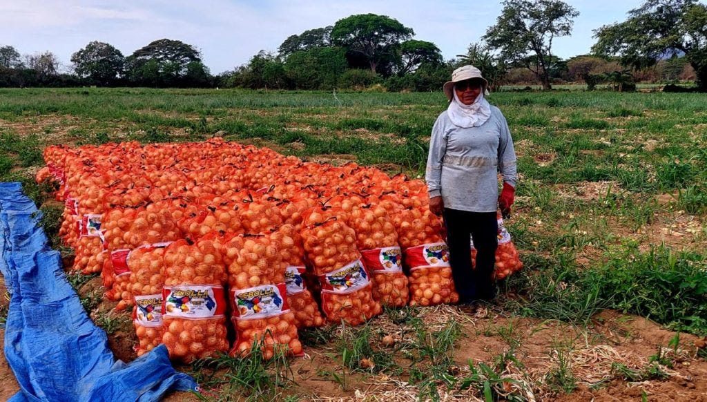 produccion agricola en chiriqui - Brithany nicole - Medium
