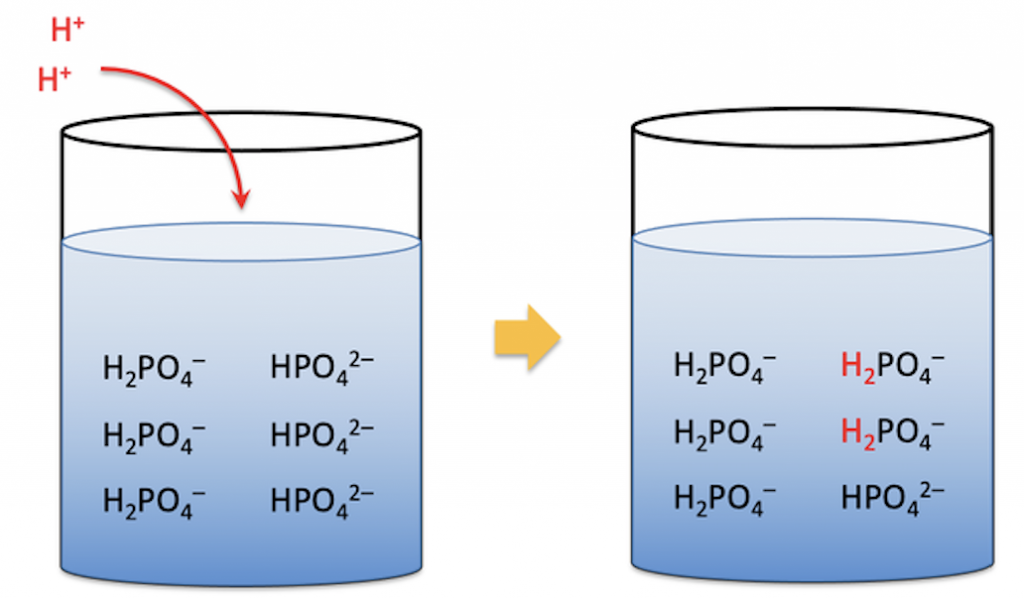 Biological Buffers