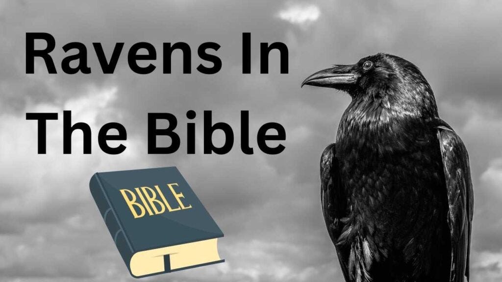 Ravens in the Bible A Closer Look at their Symbolism and Significance