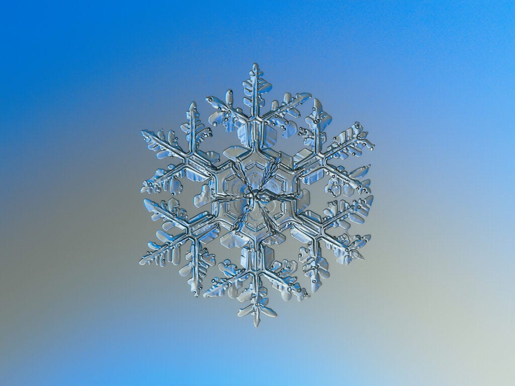 The Magic Behind Snowflake IDs: A 16-Bit Walkthrough