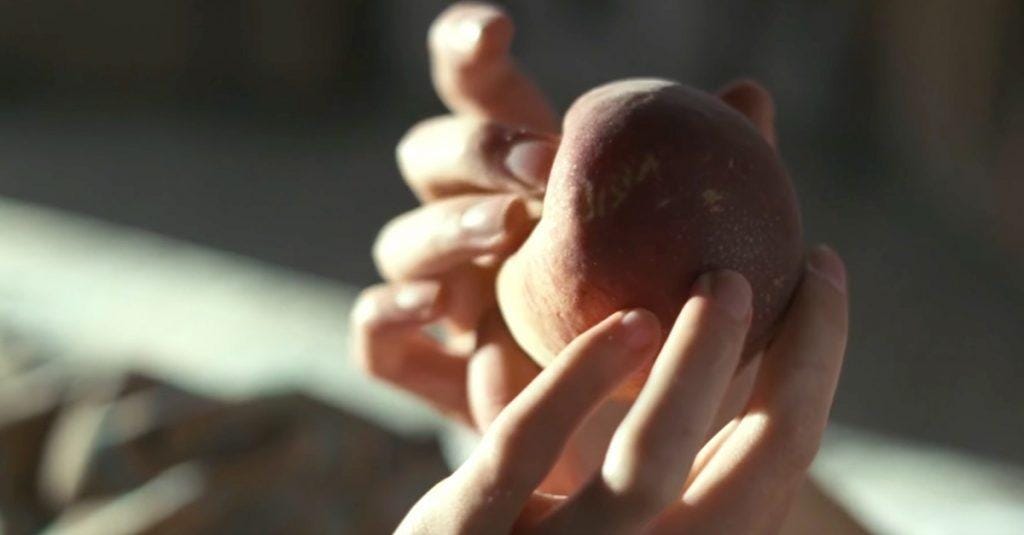 A simple peach transforms into one of cinema’s most enduring metaphors for vulnerability and acceptance.