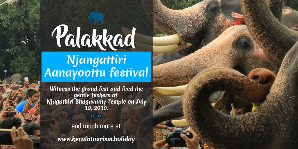 Njangattiri Aanayoottu Festival Palakkad — A Special Elephant Feeding ...