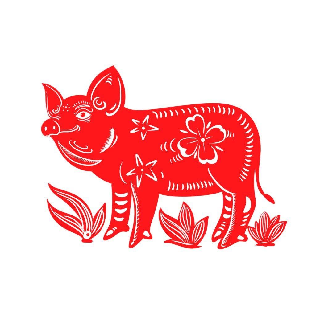 year-of-the-pig-chinese-zodiac-pig-2019-fortune-by-pandarow-medium