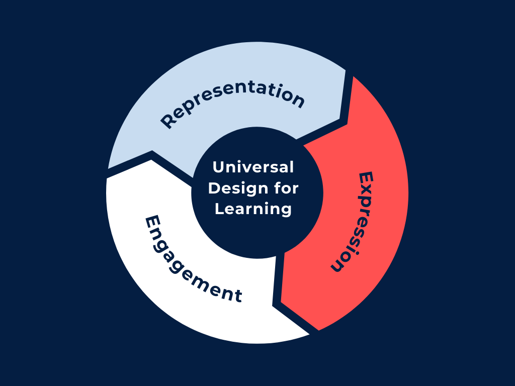 Universal Design for Learning framework (NSW Department of Education, 2023)