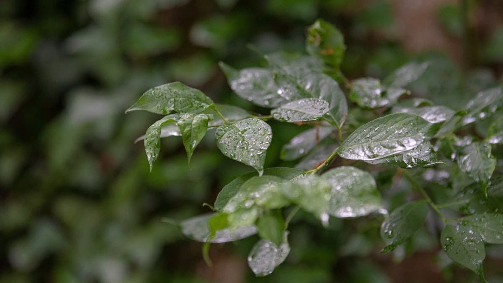 Are Pop Up Tents Waterproof? (Solved & Explained) | by Kevin from ...