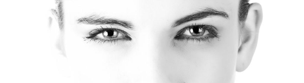 Building a face recogniser | by Thomas Wood | Medium