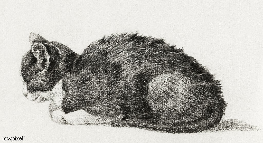 What is the Meaning of the Phrase ‘Rubbing Someone the Wrong Way’? by