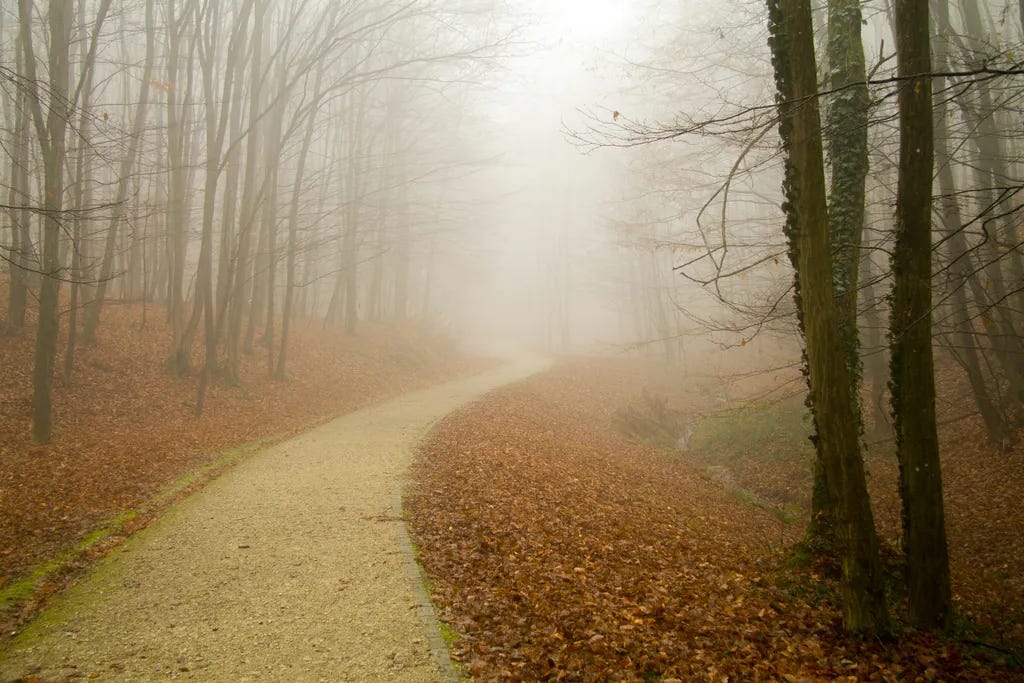 With quiet thanks to Adam Bašić on Unsplash for the image.