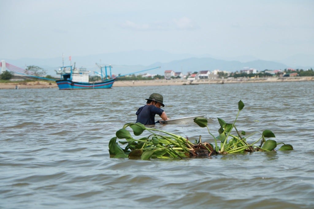 Giải Mã Tâm Lý Học Mơ Thấy Bắt Trai Hến Đánh Đề Con Gì Để Lấp Đầy Vô Thức