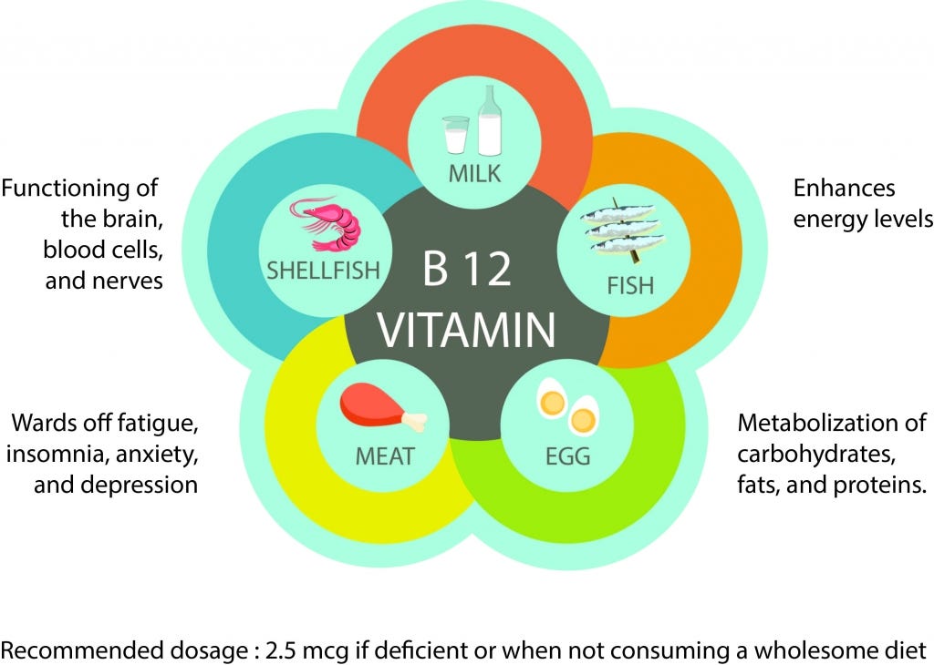 B12 the one prenatal vitamin you cannot skip by The Apple Tree Medium