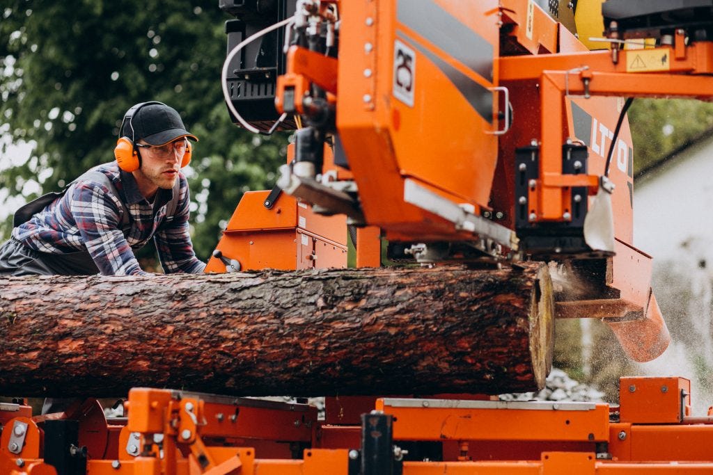 What Does a Tree Service Technician Do? A Comprehensive Guide to Their