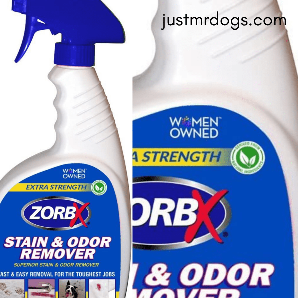 How To Eliminate Pet Stain and Odor from carpet by SEO Expert Medium