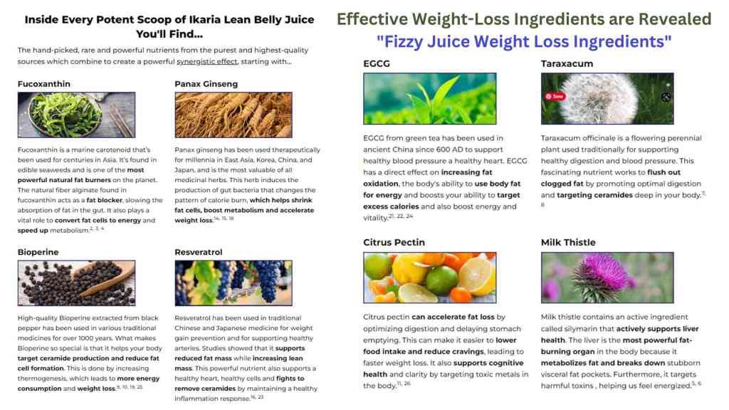 Fizzy Juice Weight Loss Ingredients by Digital Gulzar Jun, 2023