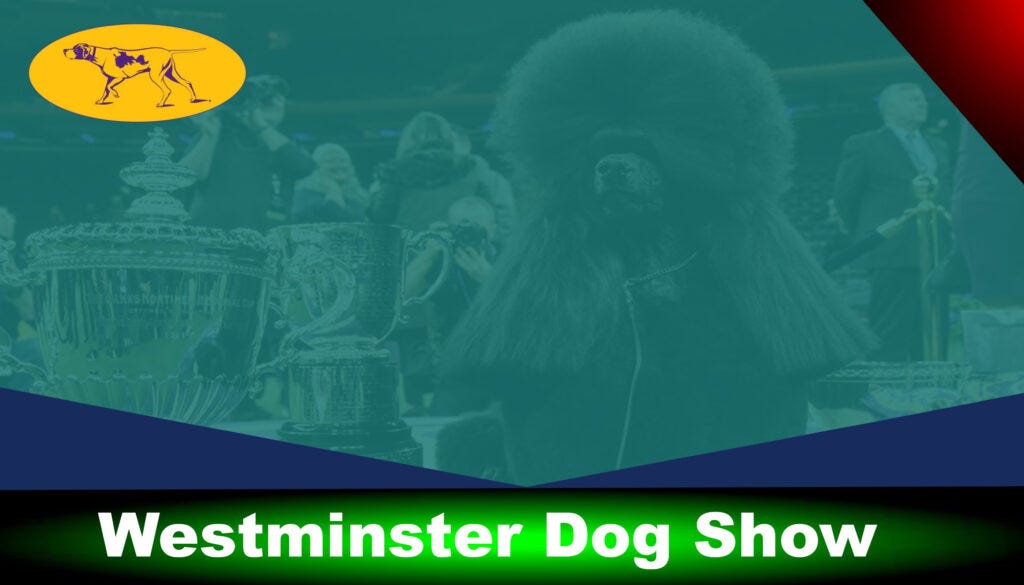 How To Watch Westminster Dog Show 2021 Live Stream Online by Armkhan