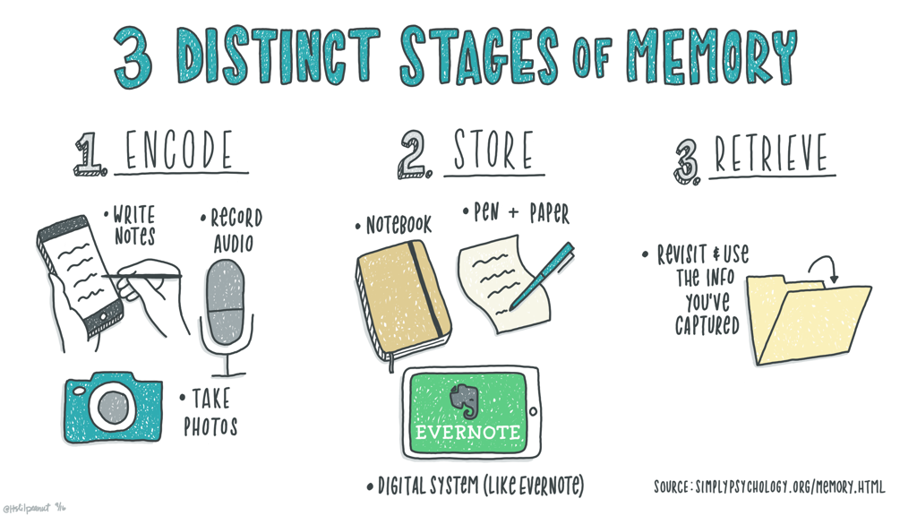 Encoding, storage, and retrieval of memory. | Source: simplypsychology.org/memory.html
