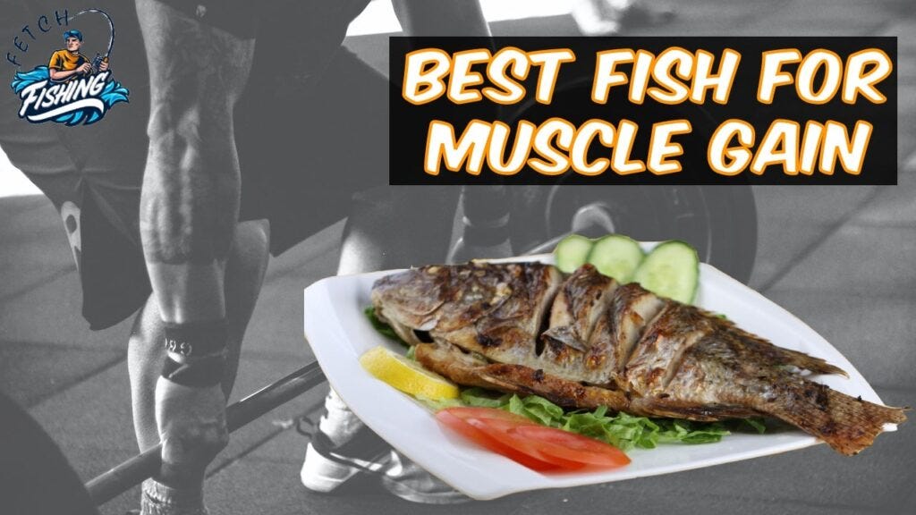 Tilapia vs Salmon: Which Is Better For Muscle Gain?