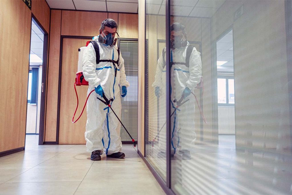 Why Hiring a Professional Exterminator Is Better Than DIY Pest Control