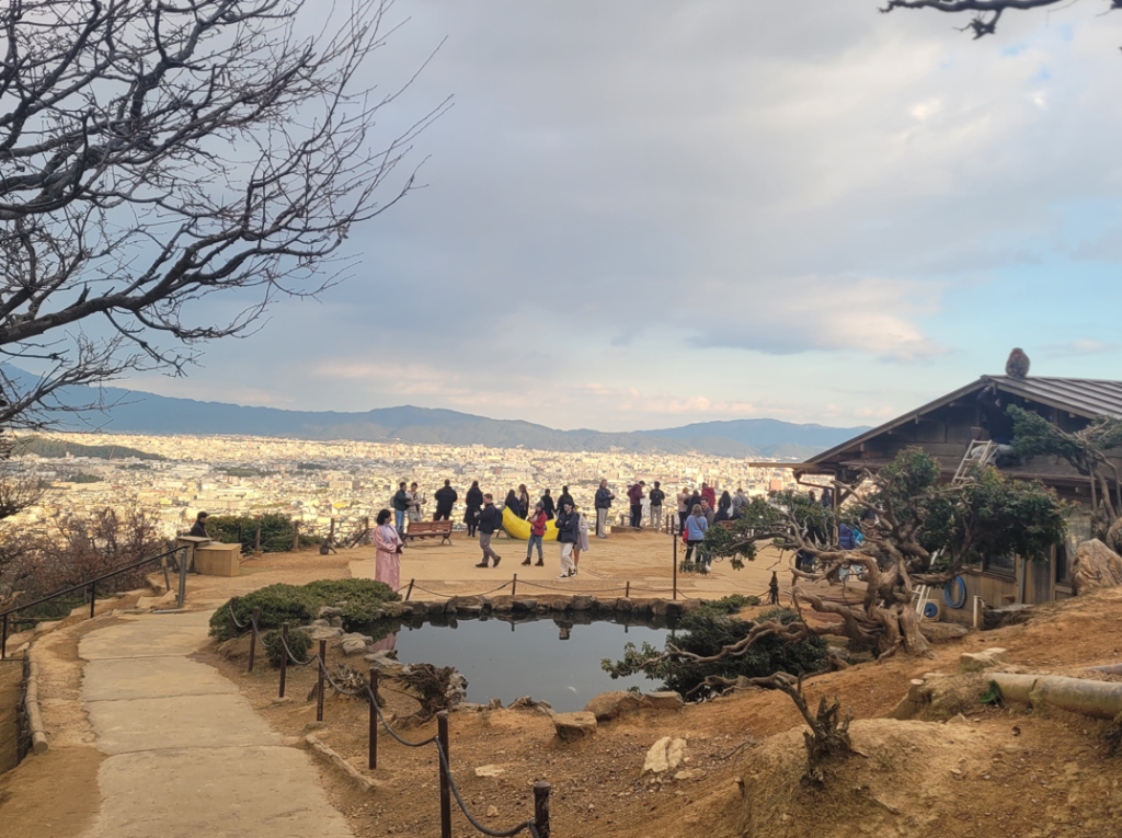 Arashiyama Monkey Park (Iwatayama) is Kyoto’s best hidden gem