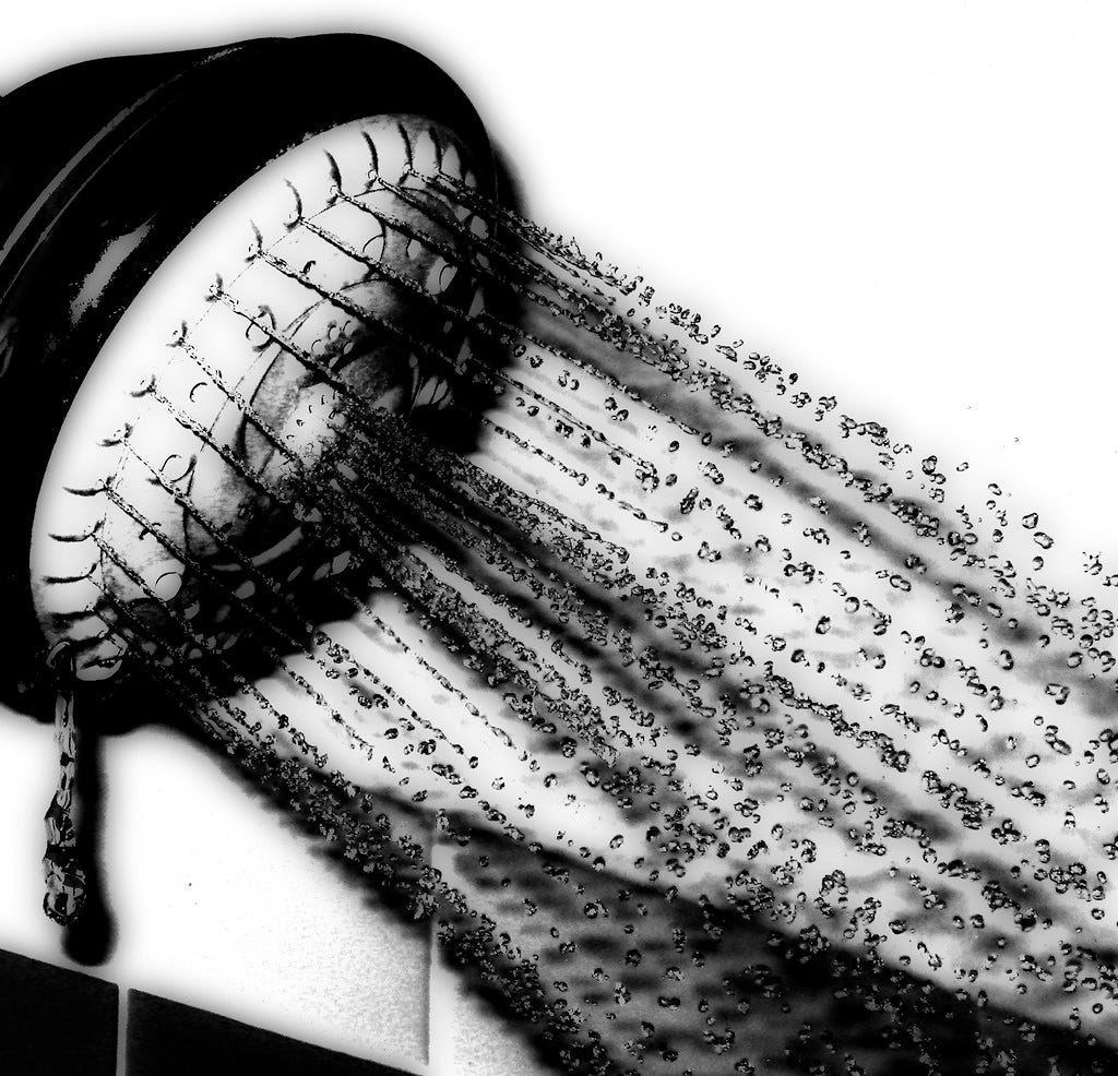 Don’t shorter showers The case for individual action within