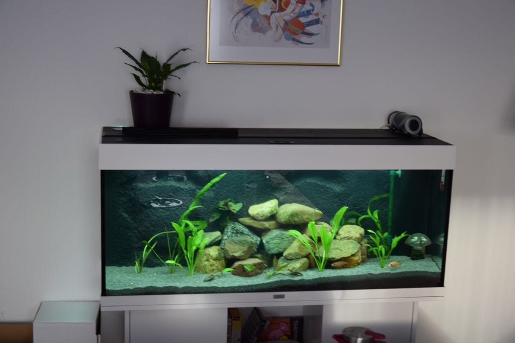 Best places to put an aquarium. Once you have decided to acquire an