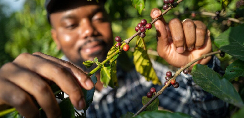 Ugandae output, exports grows