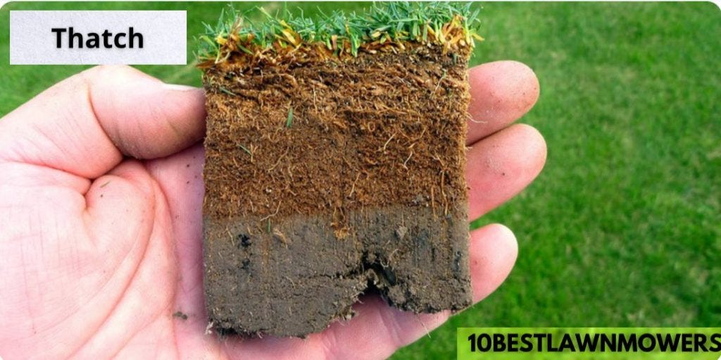 Why Does My Lawn Have Brown Patches? by 10bestlawnmowers Medium