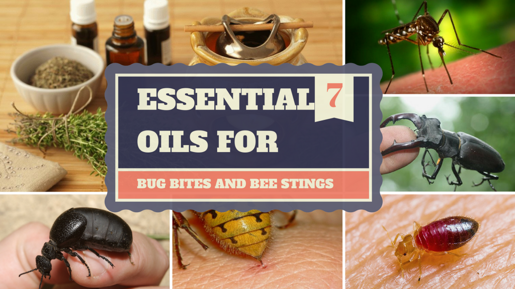 7 Essential Oils For Bug Bites and Bee Stings That Will Help Your