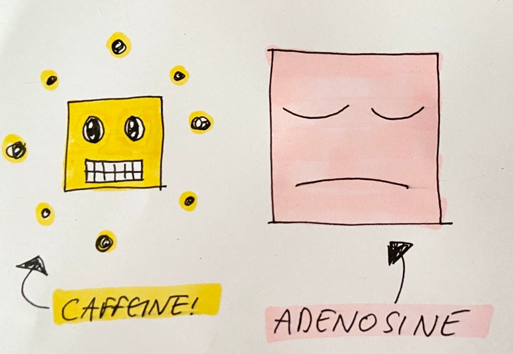 Caffeine gives you energy without calories. This is How. by Sanji