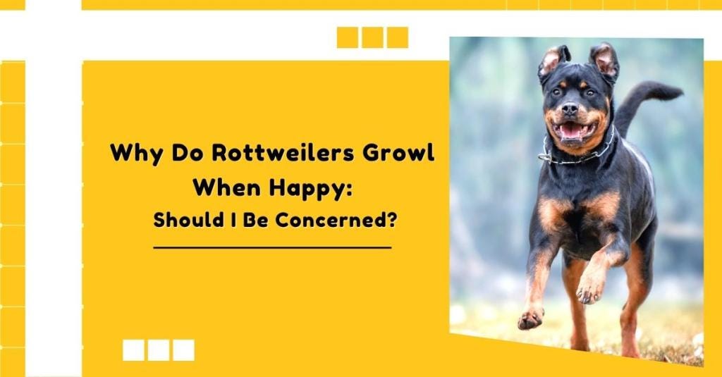 Why Do Rottweilers Growl When Happy: Should I Be Concerned? - Vom Hause ...