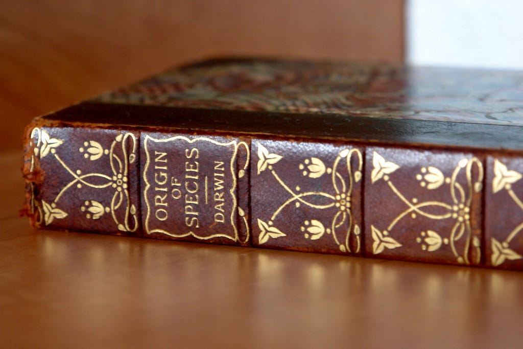 CHARLES DARWIN ON THE ORIGIN OF SPECIES 1859 PDF visual data 8