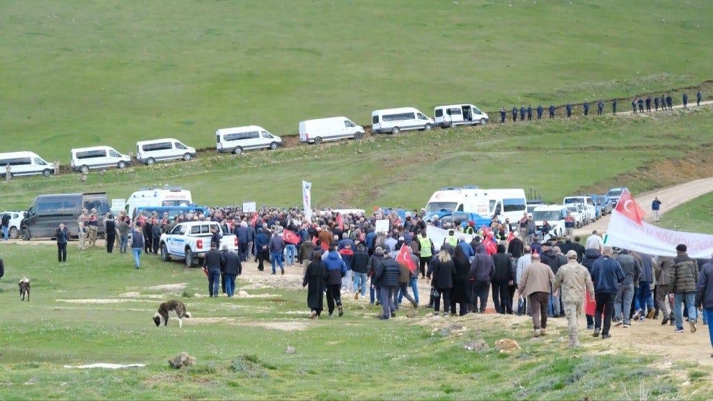 Fotoğraf: Cansu Acar- 8 Mayıs 2026, Ordu, Aybastı Perşembe Yaylası
