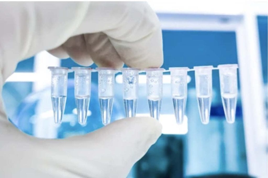 Education into action: Translating classroom knowledge to the laboratory