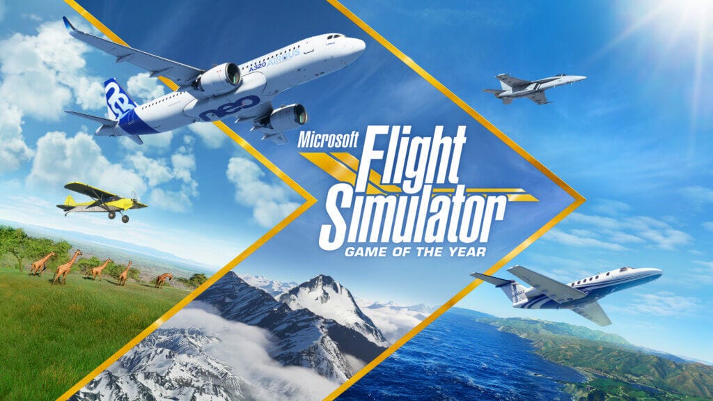 Reflection on Flight Simulator
