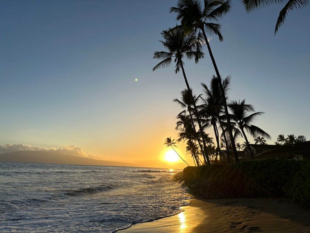  Hawaii Aloha with a Wave Flowers Sea Sun Surfing Grey