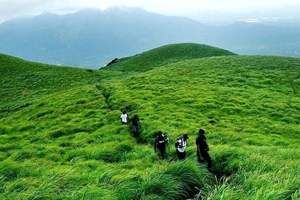 Kerala Holidays Tour: Top Reasons to Visit God’s Own Country