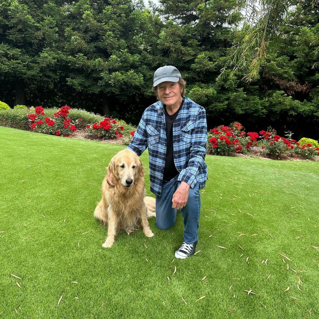 Who is John Fogerty? Net Worth, Biography, Age, Height, Wife, Wiki 2024 ...