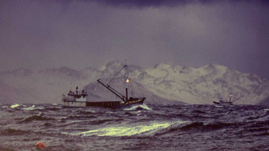 The Bering Sea is separated from the Gulf of Alaska by the Alaska ...