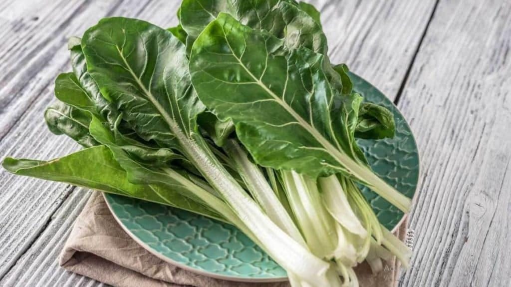 Té de acelga, lo mejor para tratar la gastritis de forma natural | by
