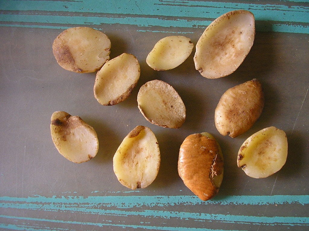 The African Mango Seed Understanding the Health Benefits of Dika Nut
